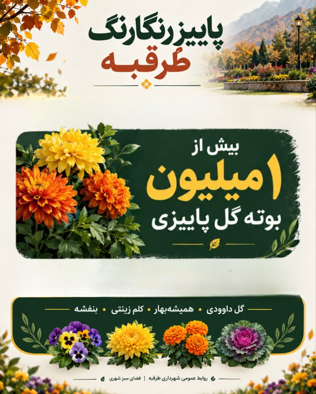 اخبار طرقبه