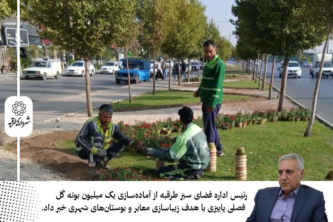 اخبار طرقبه
