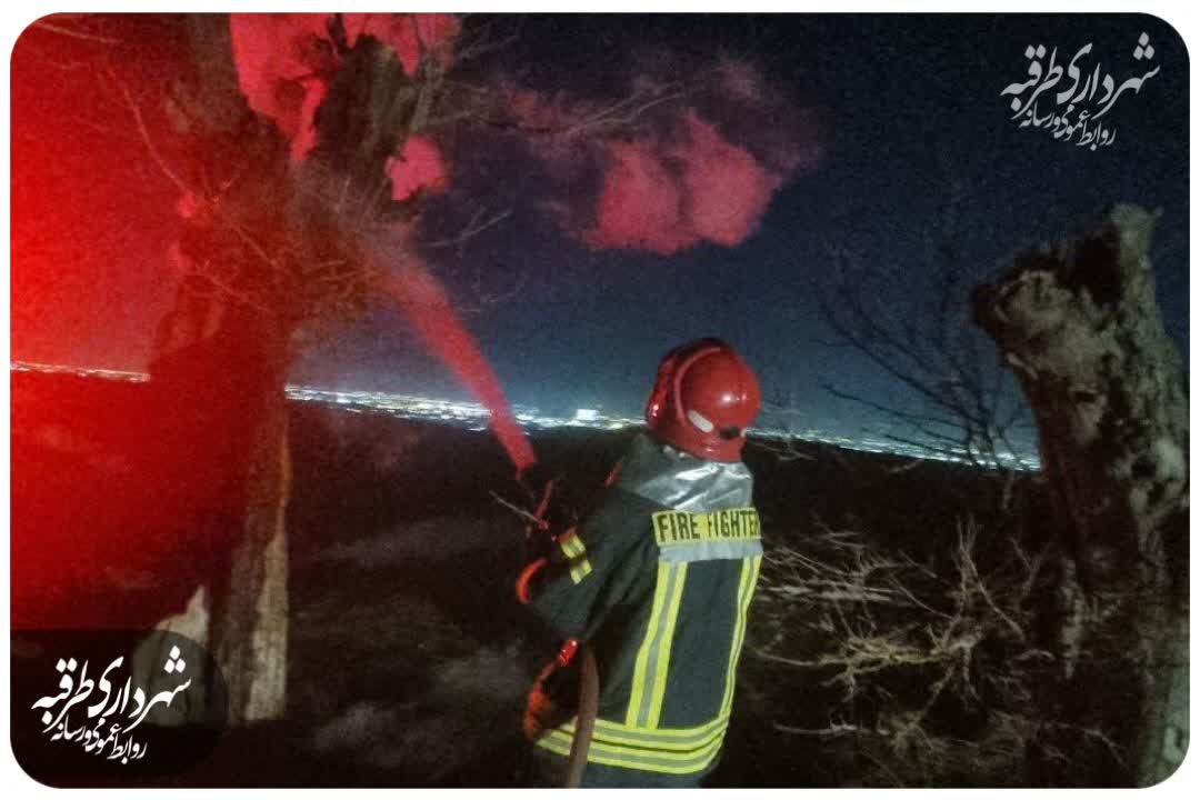 اخبار طرقبه