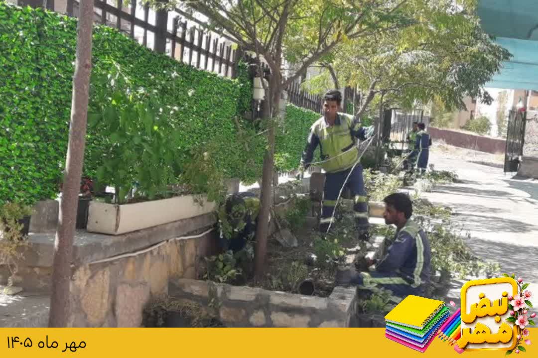 اخبار طرقبه