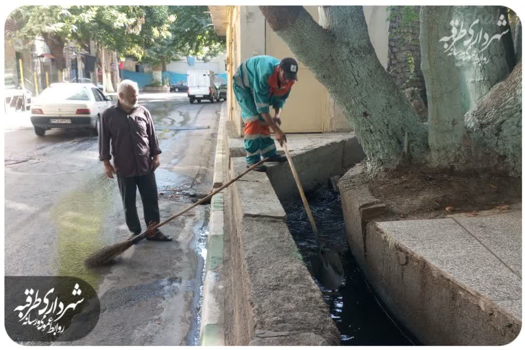 اخبار طرقبه