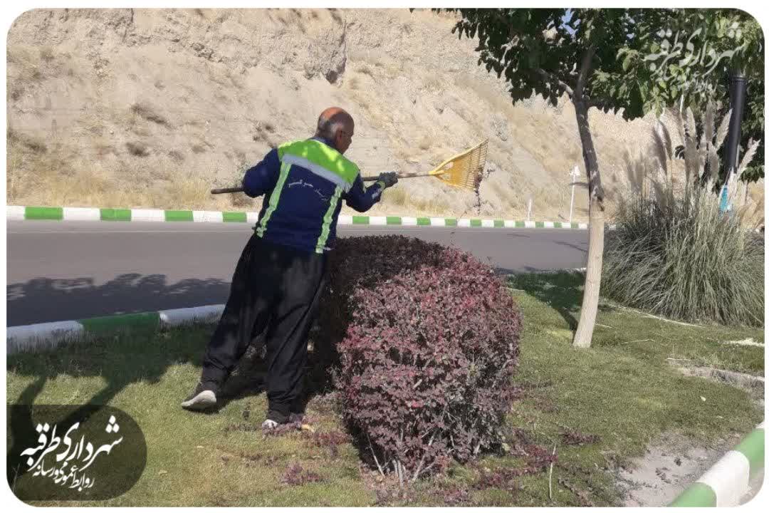 اخبار طرقبه