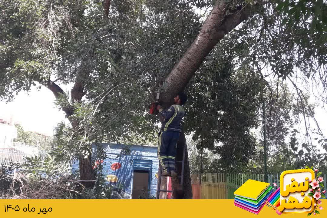📌#خبر | پاکسازی و هرس درختان پیرامون مدارس طرقبه در آستانه بازگشایی مدارس