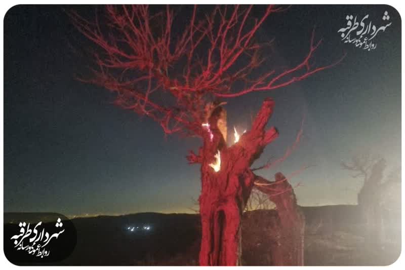 اخبار طرقبه