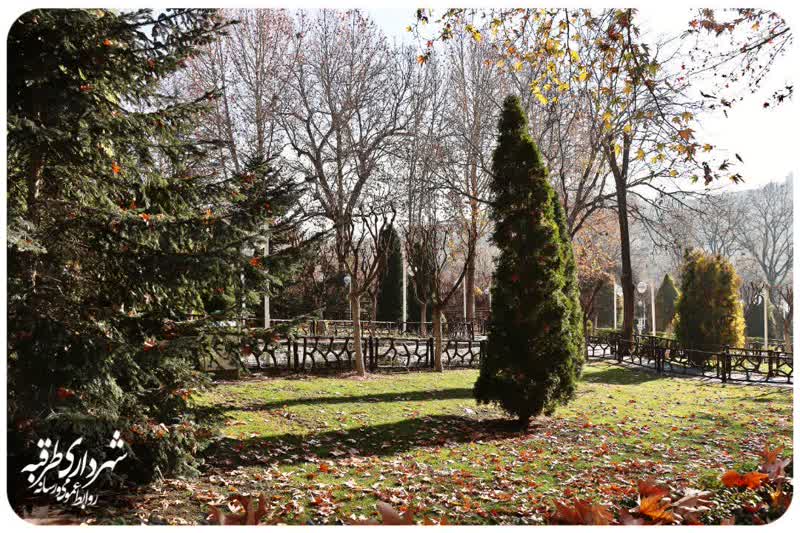 اخبار طرقبه