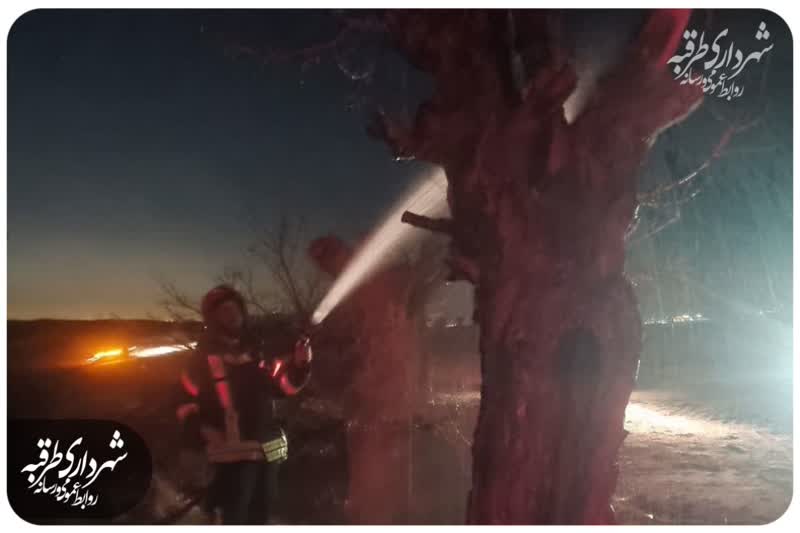 اخبار طرقبه