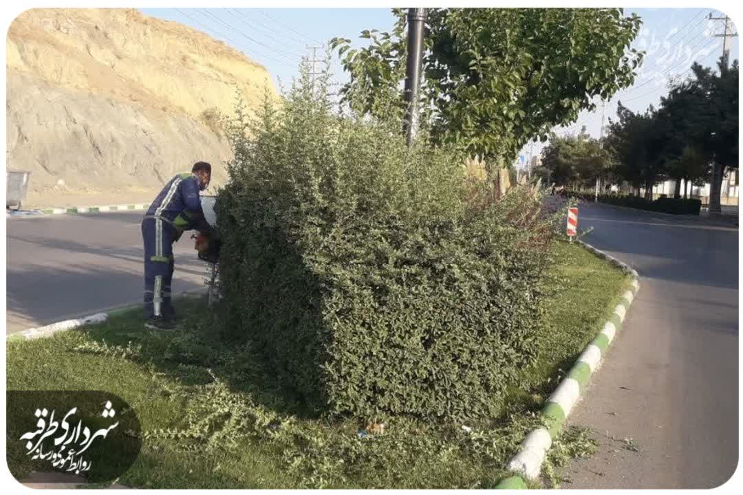 اخبار طرقبه