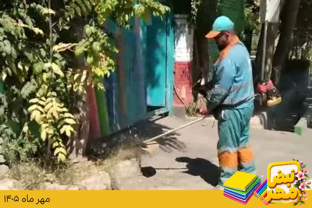 اخبار طرقبه