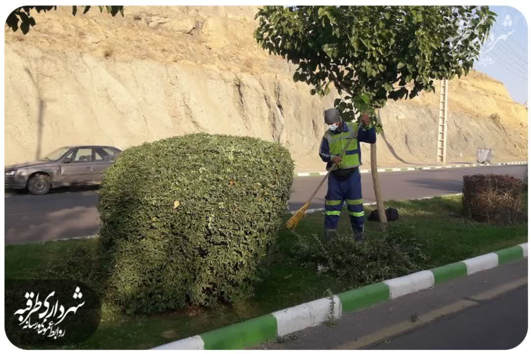 اخبار طرقبه