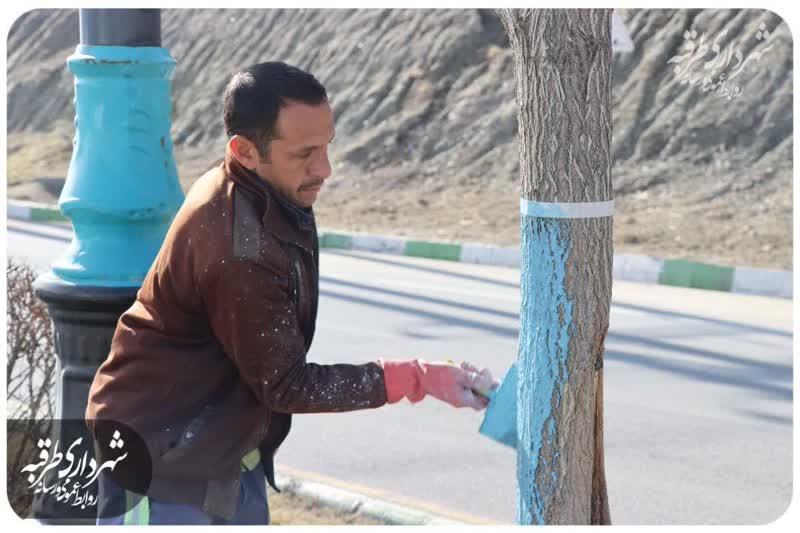 اخبار طرقبه