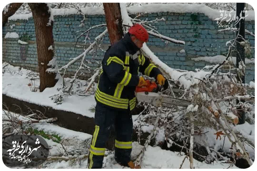  همه پای کار شهر هستیم .